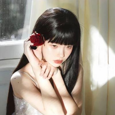 探长薇拉第十四季